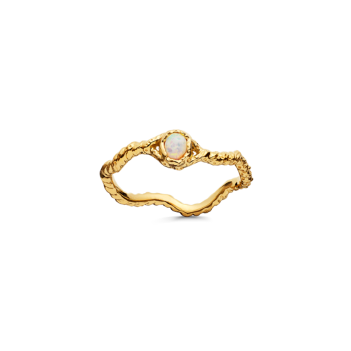 Lisa Ring