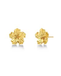 Jasmine Studs S - Gull